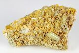 Lustrous, Yellow Apatite Crystals on Feldspar - Morocco #185465-1